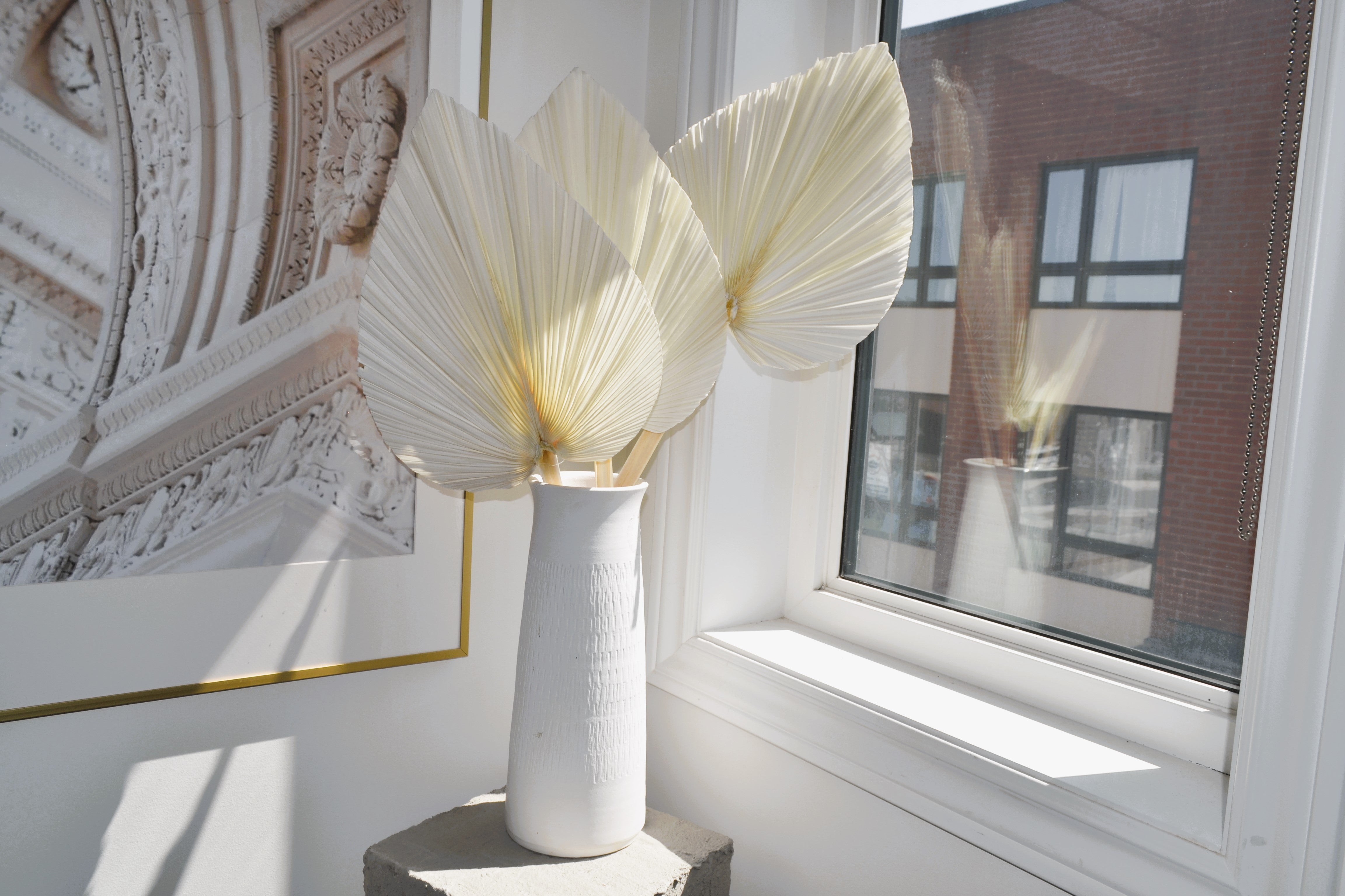 LARGE PALM LEAF